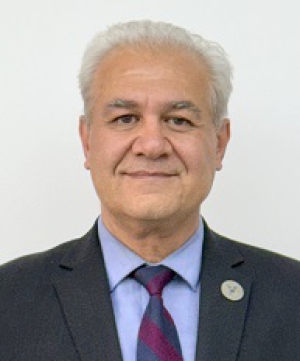 عکس بابک نیکومرام