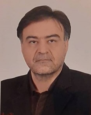 عکس علیرضا محبی پورلورون
