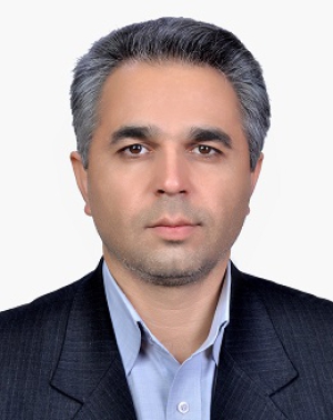 عکس حسین بیدختی