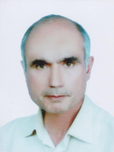 محمدحسین محمدی