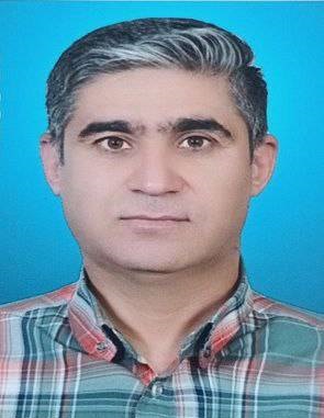 آرش حیدری