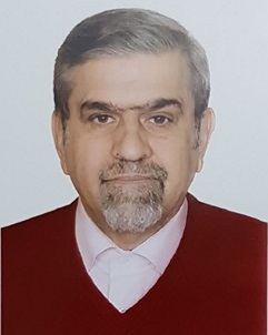 محمود محمدی