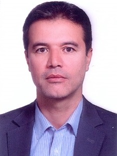 سیدمرتضی حسینی
