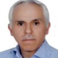 مسعود بقائی وجی