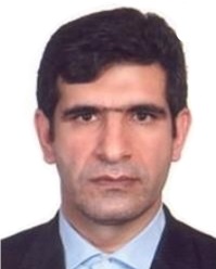 حسن رضا محمدی