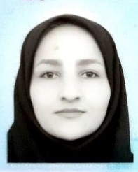 مژگان زارعی ونوول
