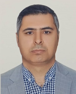 مهدی محمدی
